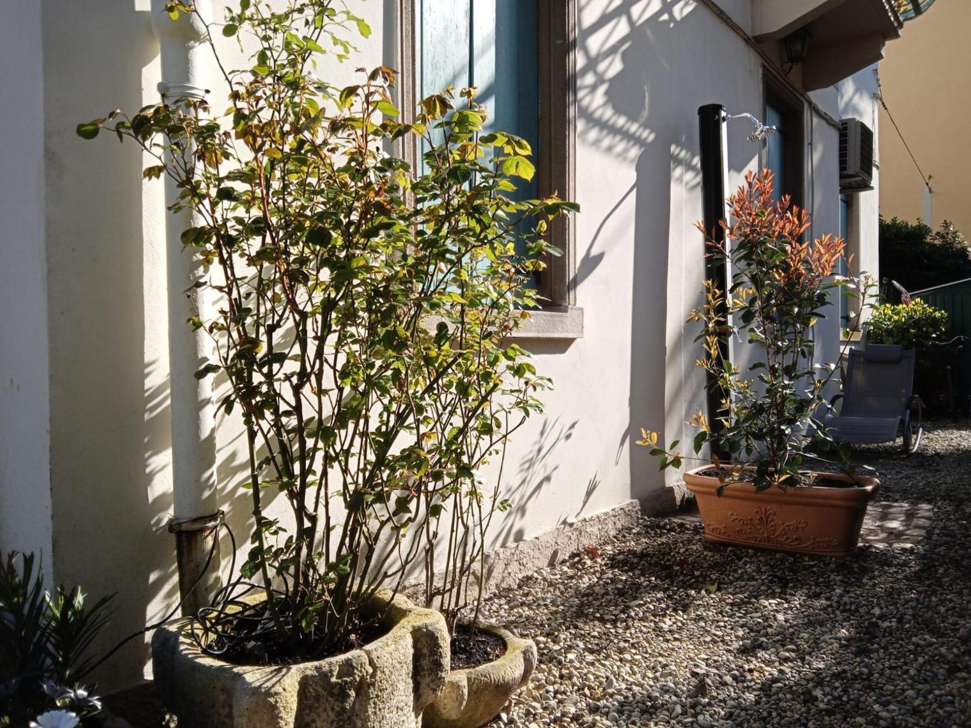 Dimora Castiglioni Villa Venedigs Lido Eksteriør billede